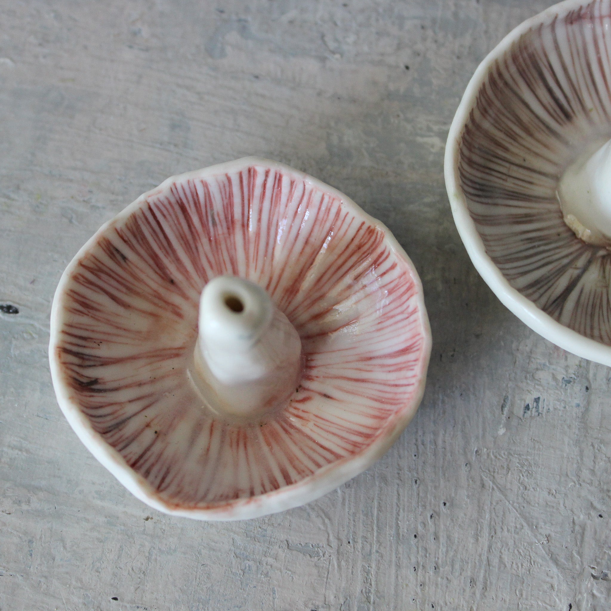 Ceramic Mushroom Specimen Keeper / Incense Holder Dishes - Tribe Castlemaine