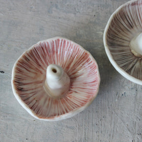 Ceramic Mushroom Specimen Keeper / Incense Holder Dishes - Tribe Castlemaine