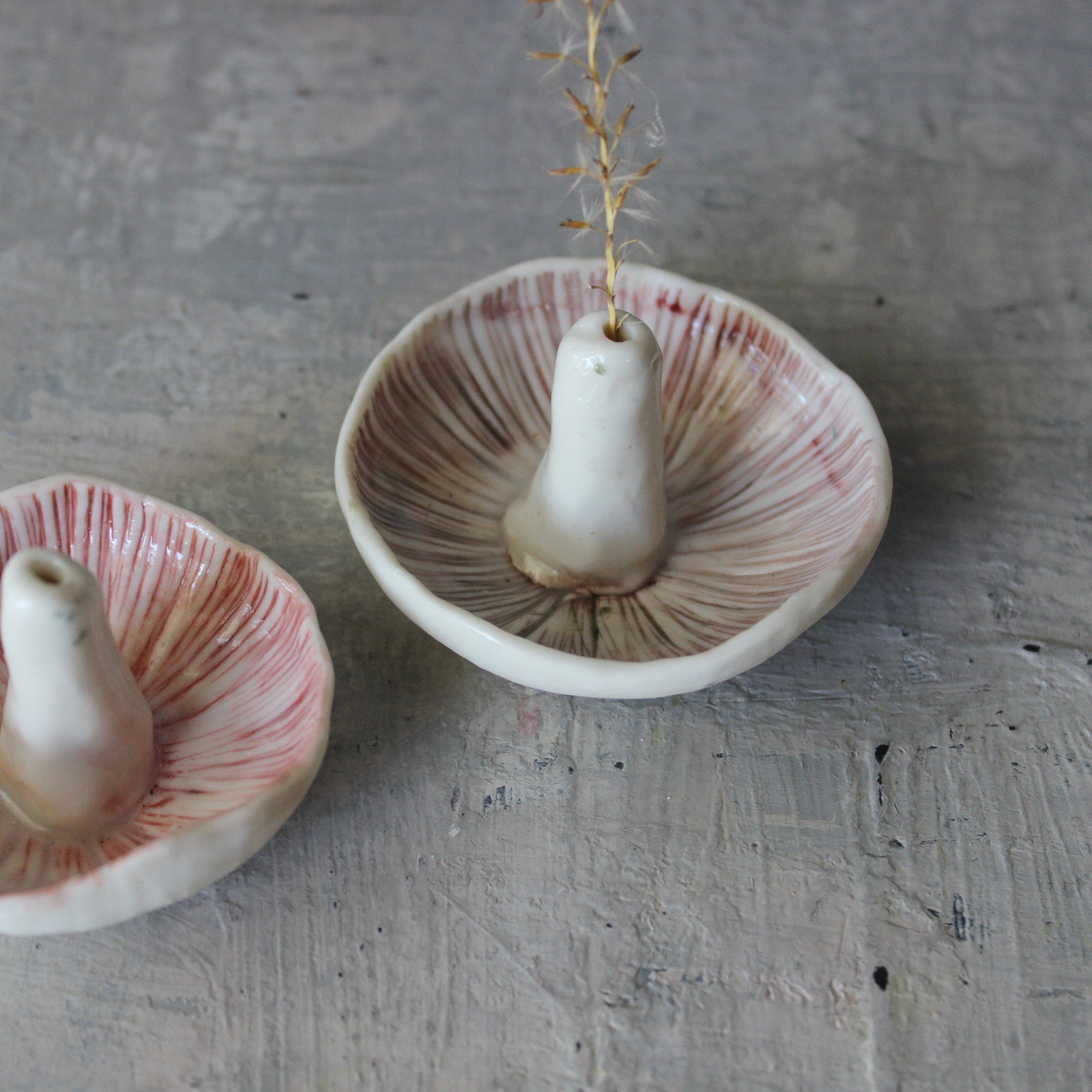 Ceramic Mushroom Specimen Keeper / Incense Holder Dishes - Tribe Castlemaine