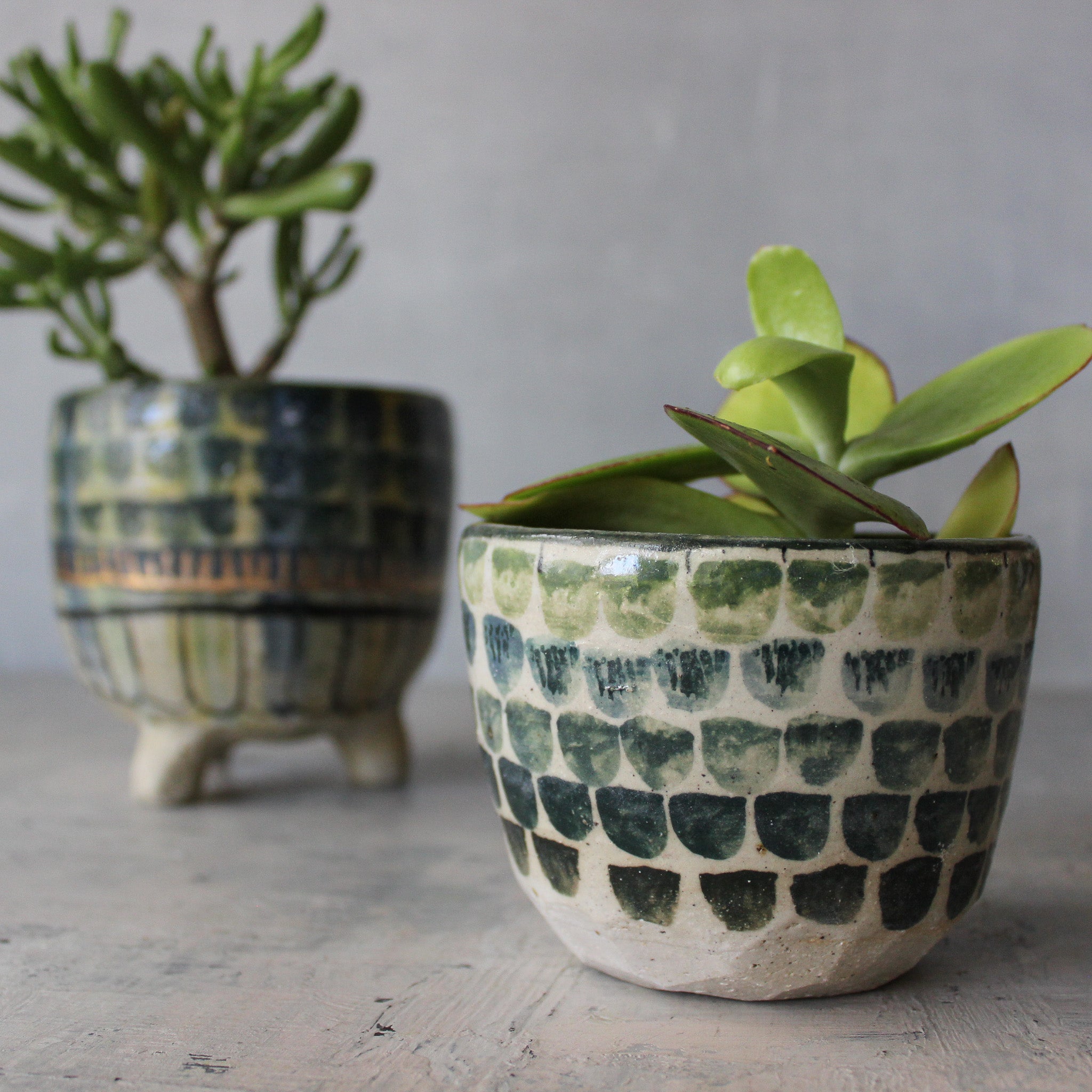 Ceramic Planters Blue Green Dots - Tribe Castlemaine
