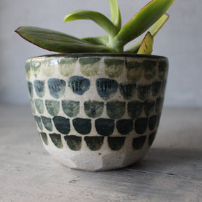 Ceramic Planters Blue Green Dots - Tribe Castlemaine