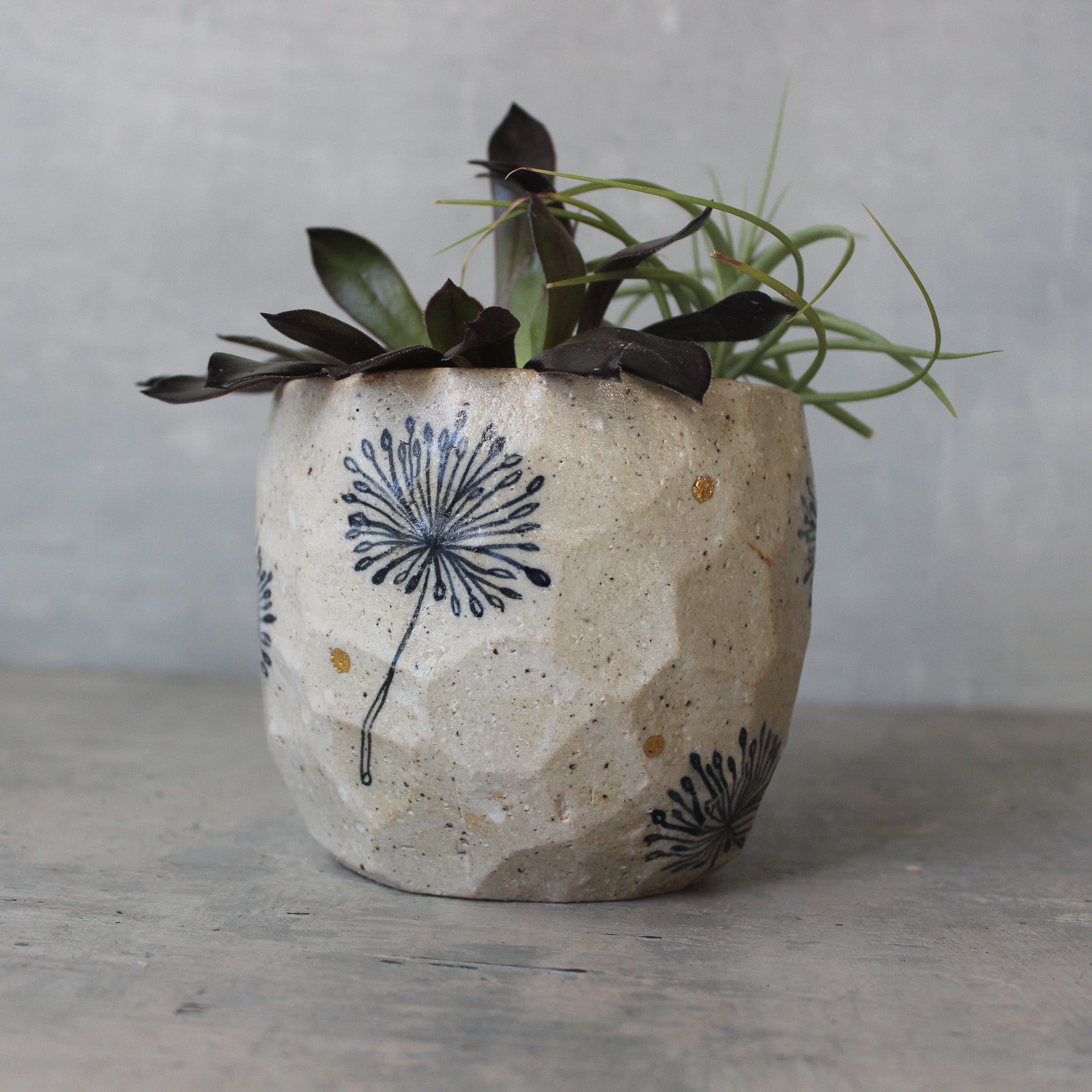 Ceramic Planters Dandelion - Tribe Castlemaine