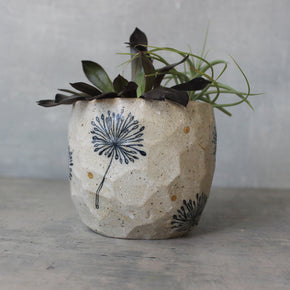 Ceramic Planters Dandelion - Tribe Castlemaine