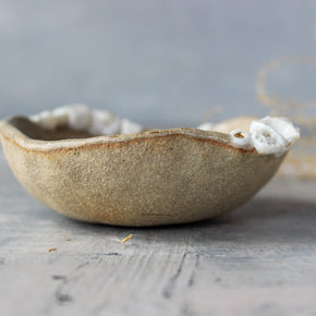 Ceramic Rock Coral Dish - Tribe Castlemaine