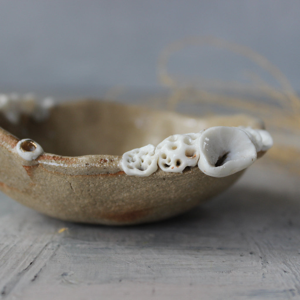 Ceramic Rock Coral Dish - Tribe Castlemaine
