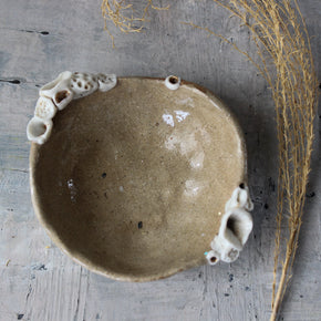 Ceramic Rock Coral Dish - Tribe Castlemaine