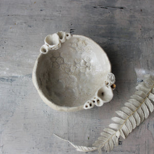 Coral Dish - Tribe Castlemaine