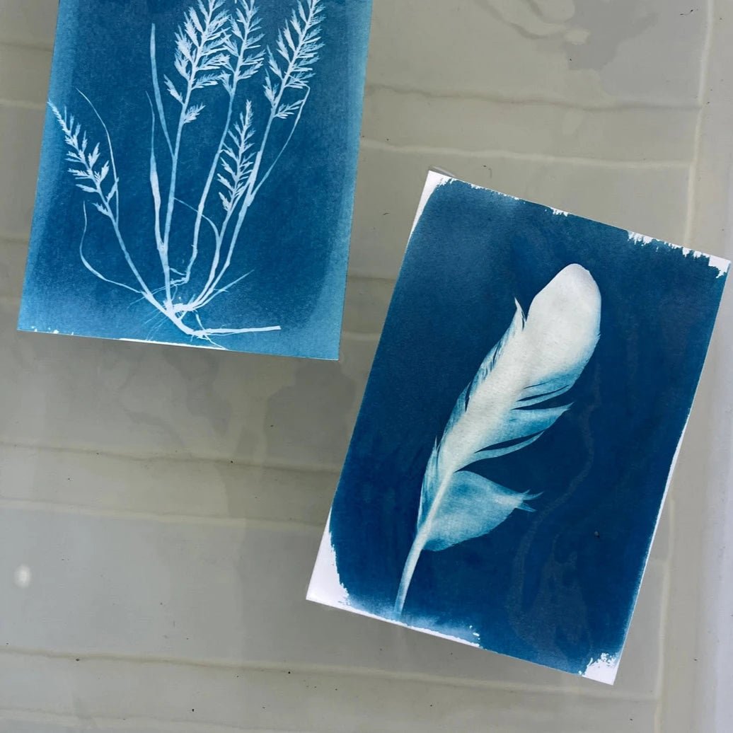 Cyanotype Sun Printing Paper Tribe Castlemaine cyanotype-sun-printing-paper-tribe-castlemaine