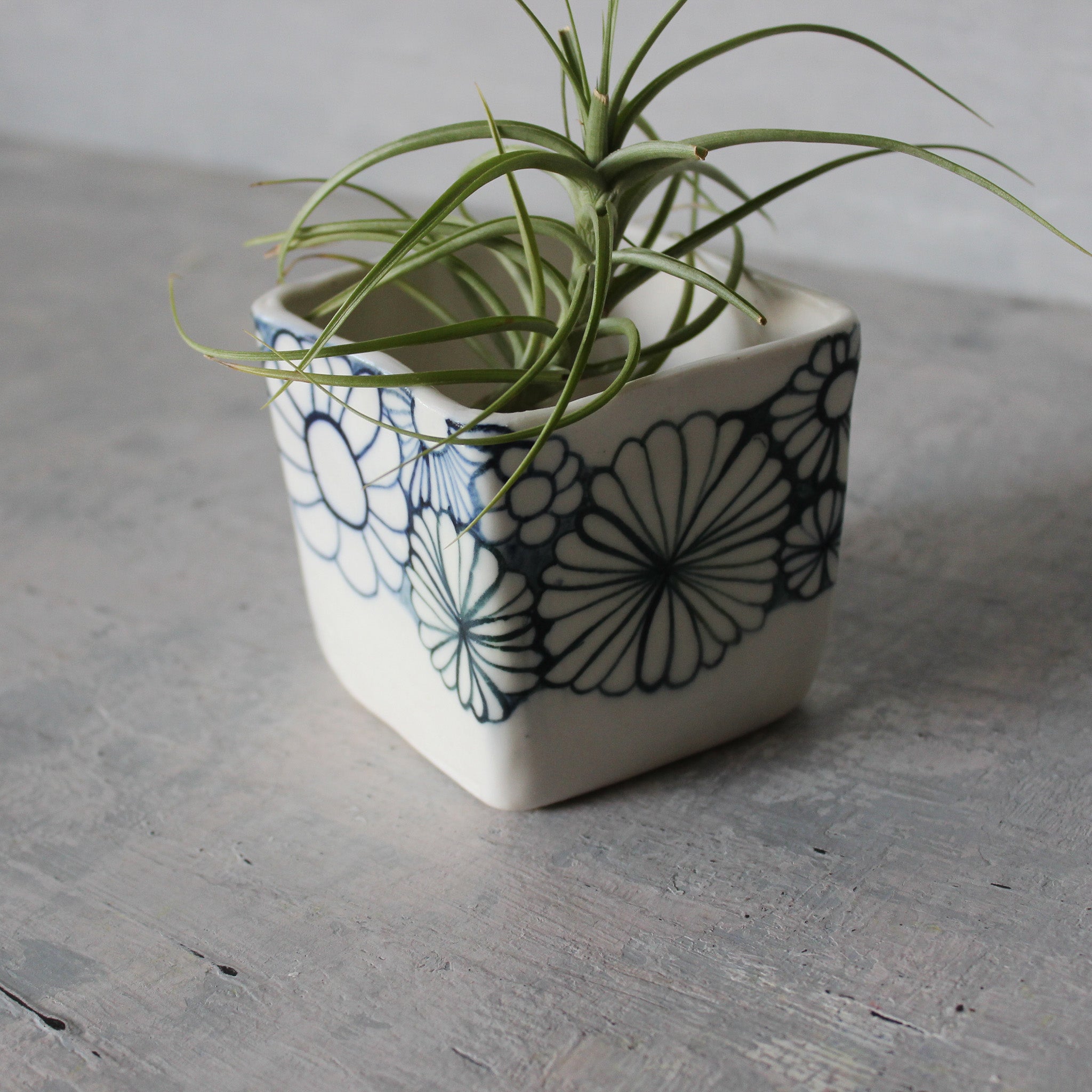 Daisy Square Planter - Tribe Castlemaine