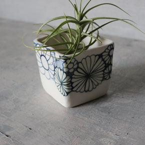 Daisy Square Planter - Tribe Castlemaine