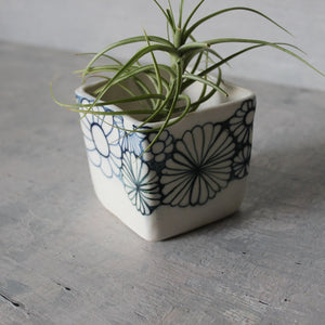 Daisy Square Planter - Tribe Castlemaine