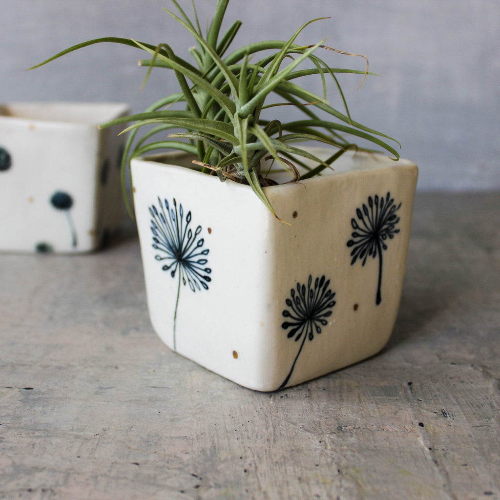 Dandelion Square Planters - Tribe Castlemaine