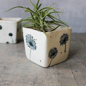 Dandelion Square Planters - Tribe Castlemaine