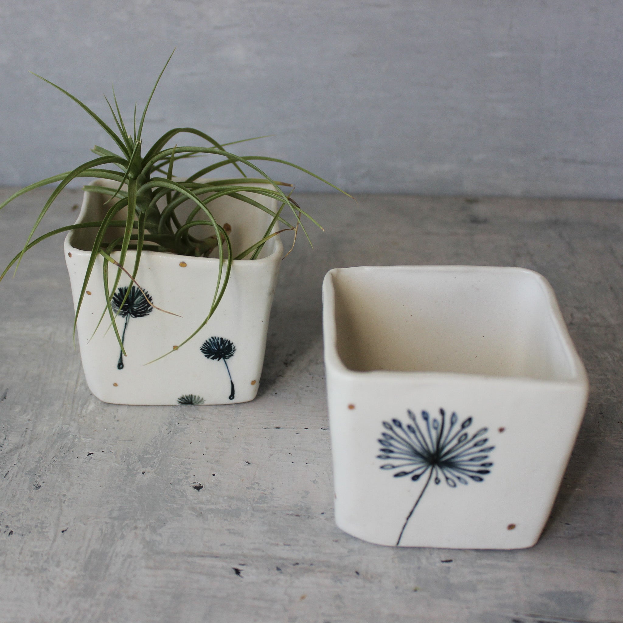 Dandelion Square Planters - Tribe Castlemaine