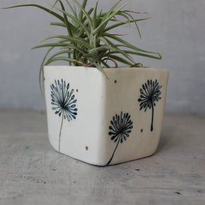 Dandelion Square Planters - Tribe Castlemaine