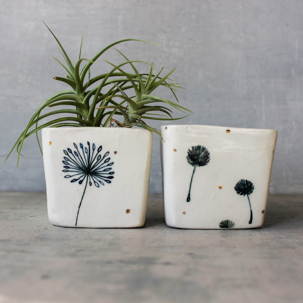 Dandelion Square Planters - Tribe Castlemaine