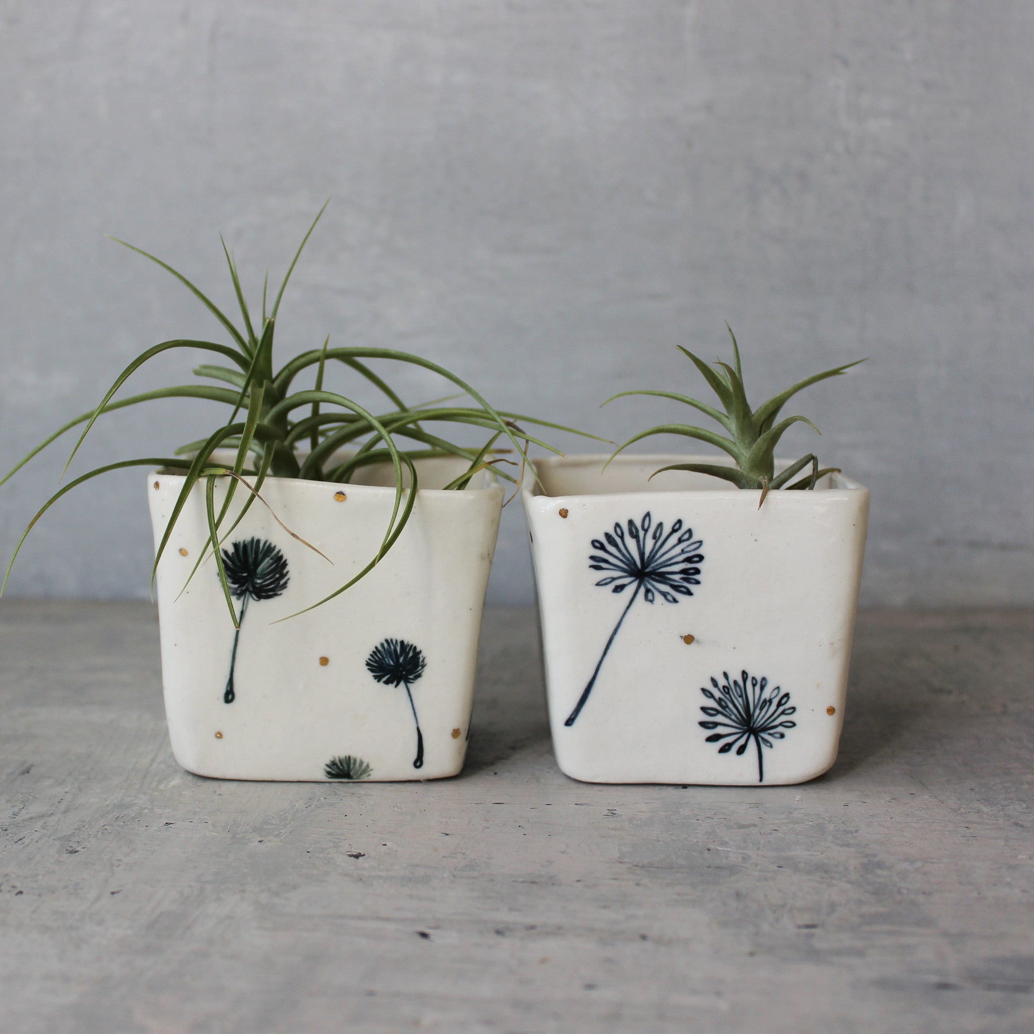 Dandelion Square Planters - Tribe Castlemaine