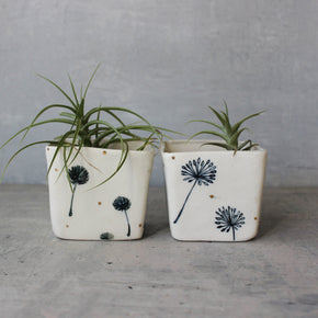 Dandelion Square Planters - Tribe Castlemaine