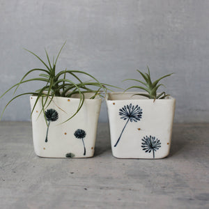 Dandelion Square Planters - Tribe Castlemaine