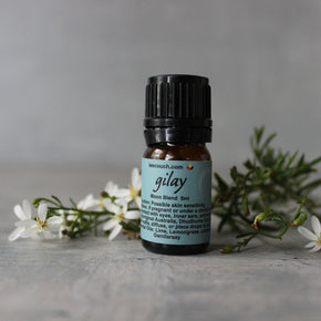 Dhuwi Bush Medicine - Gilay Collection - Tribe Castlemaine