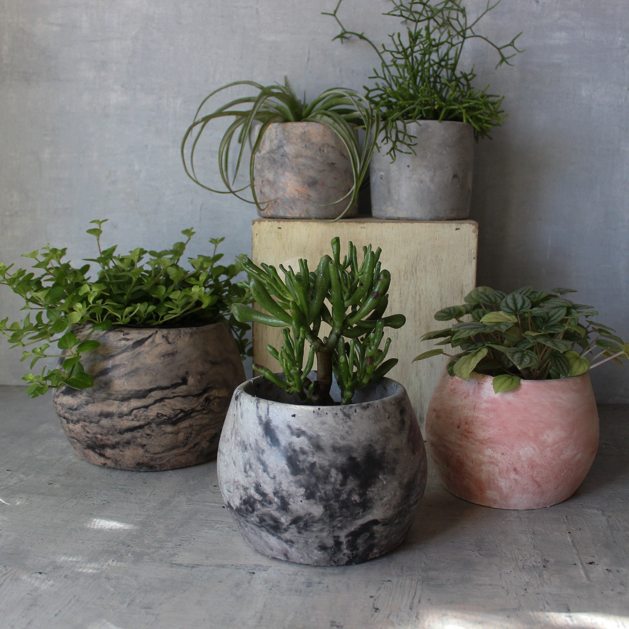 Eché Handmade Hemp Pots - Tribe Castlemaine