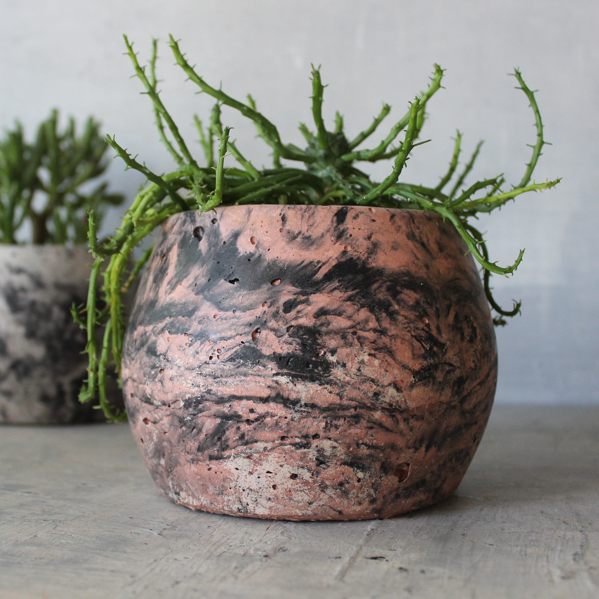 hemp plant pot Eché Handmade Hemp Pots – Tribe Castlemaine