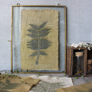 Eco Print Specimen Panels : Chinese Pistachio - Tribe Castlemaine