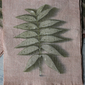 Eco Print Specimen Panels : Chinese Pistachio - Tribe Castlemaine