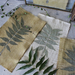 Eco Print Specimen Panels : Chinese Pistachio - Tribe Castlemaine