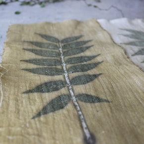 Eco Print Specimen Panels : Chinese Pistachio - Tribe Castlemaine