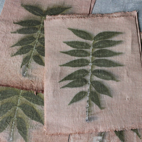 Eco Print Specimen Panels : Chinese Pistachio - Tribe Castlemaine
