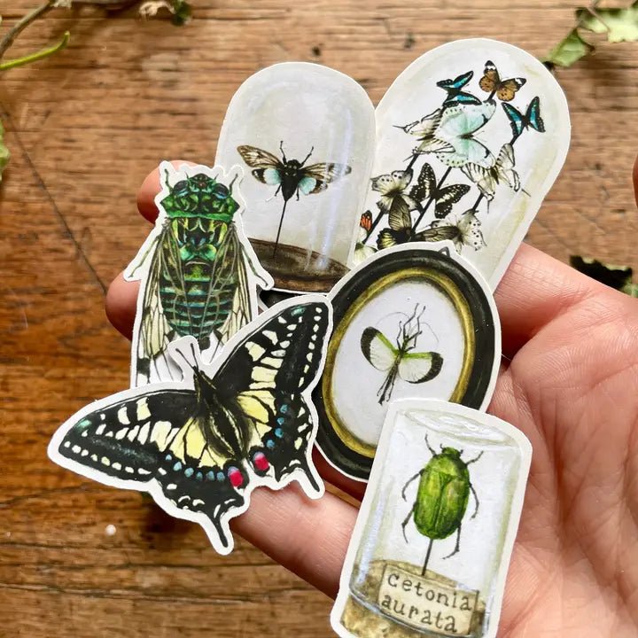 Entomology Sticker Set - Tribe Castlemaine