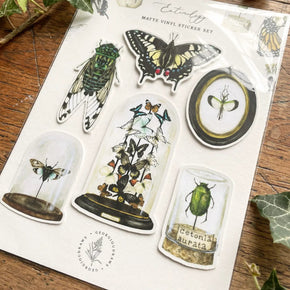 Entomology Sticker Set - Tribe Castlemaine