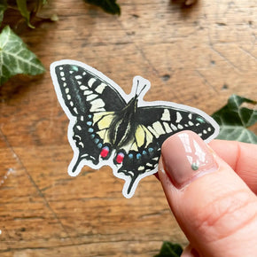 Entomology Sticker Set - Tribe Castlemaine
