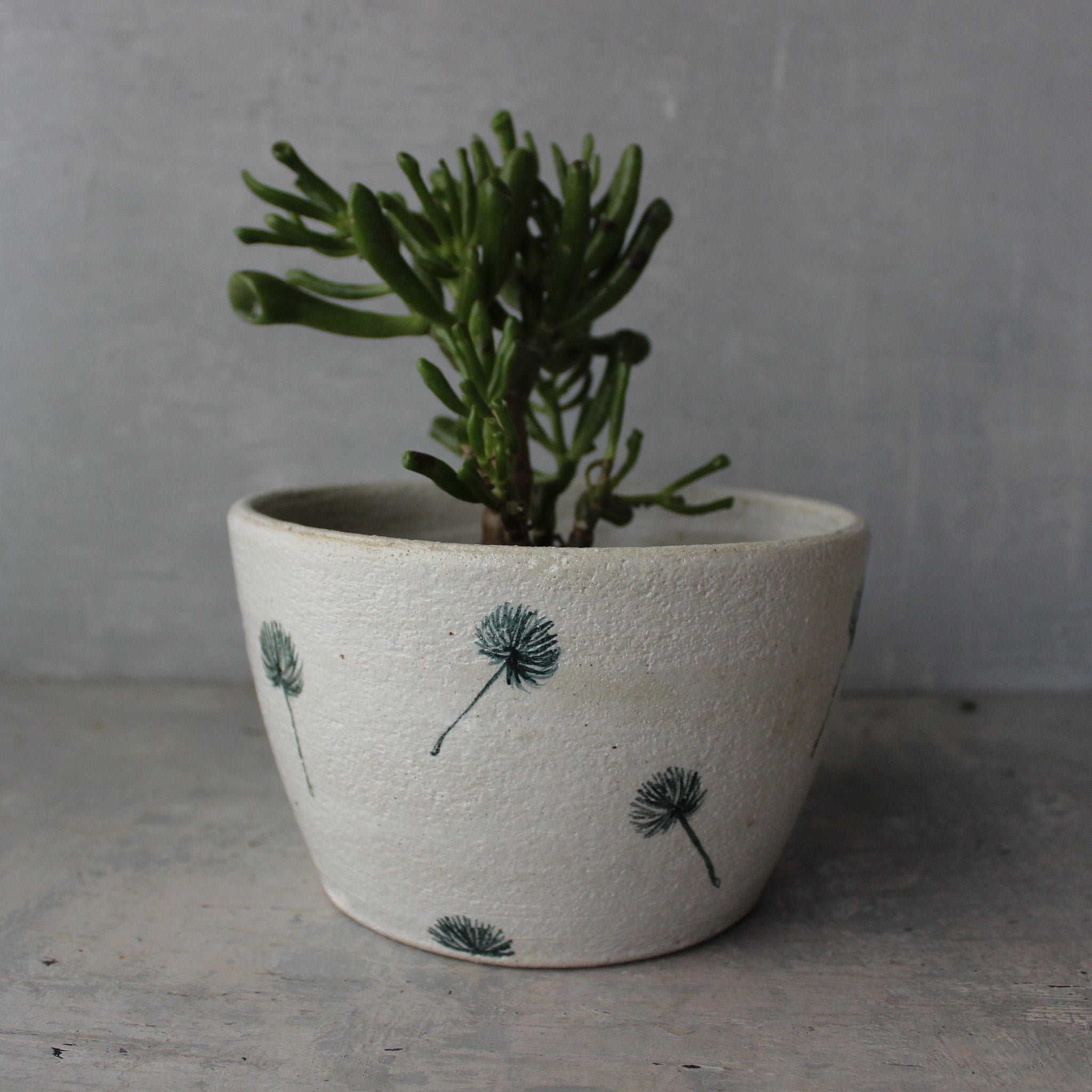 Extra Large Ceramic Planter Dandelion - Tribe Castlemaine
