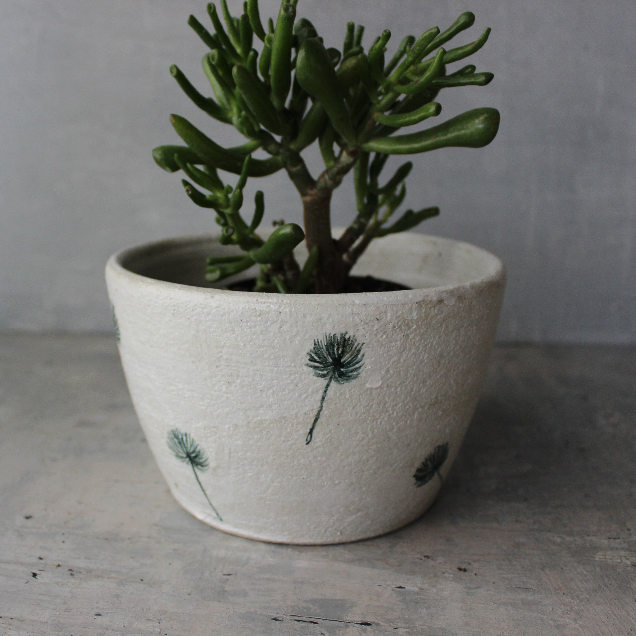 Extra Large Ceramic Planter Dandelion - Tribe Castlemaine