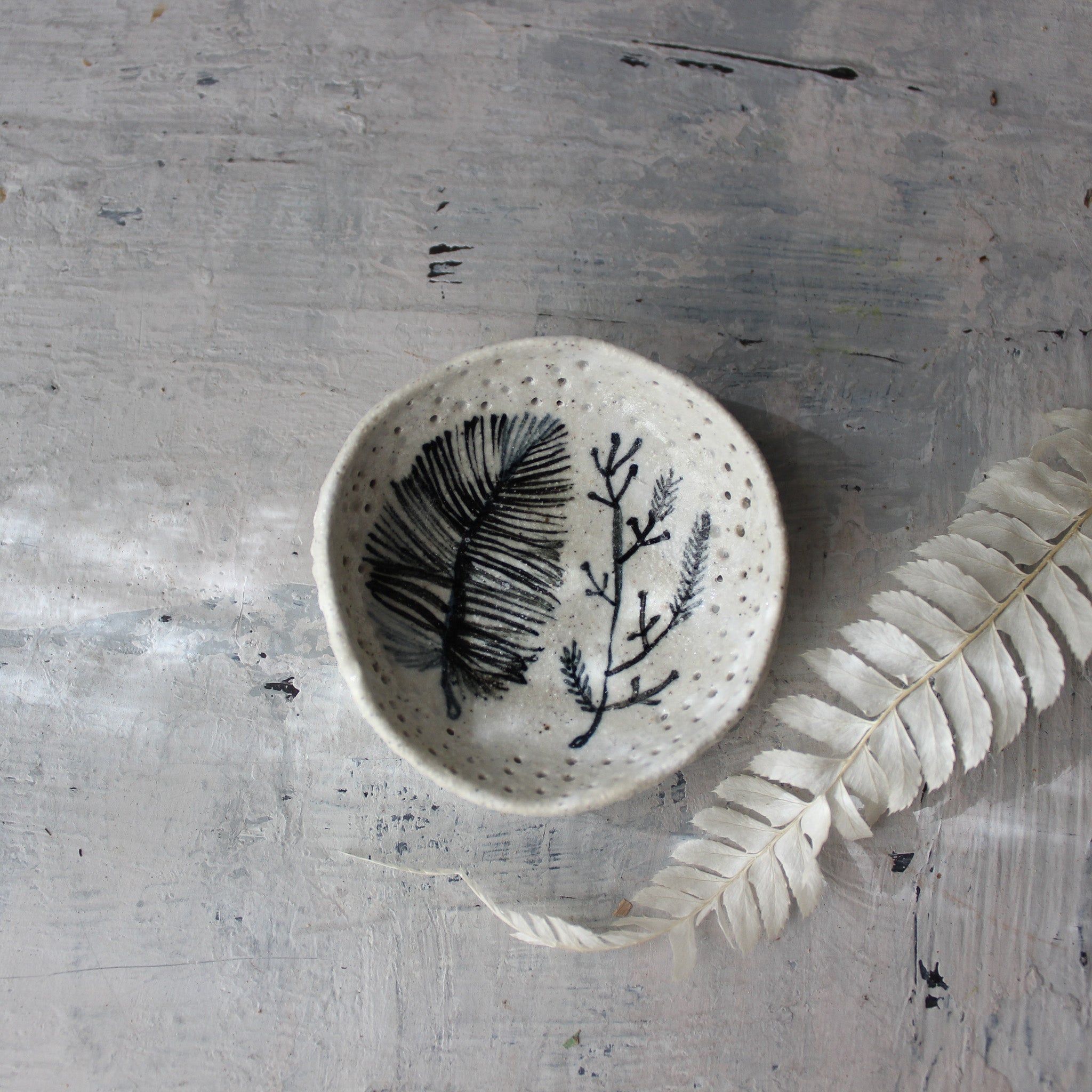Feather & Fern Dishes - Tribe Castlemaine