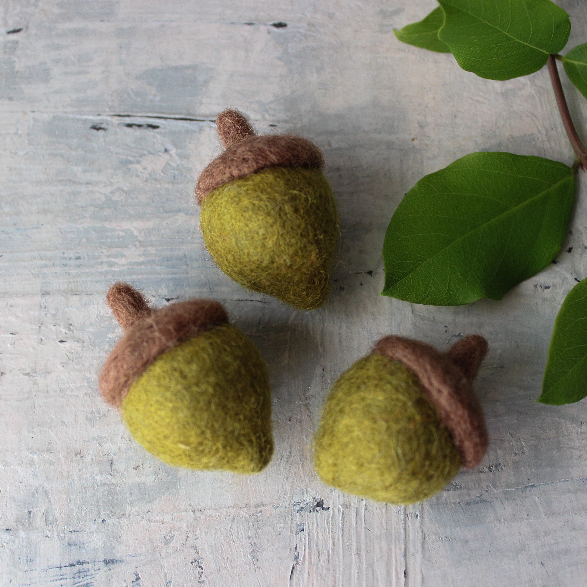 Felted Acorns - Tribe Castlemaine