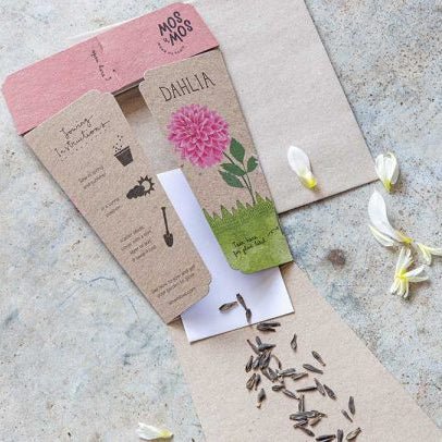 Gift of Seeds : Dahlia - Tribe Castlemaine