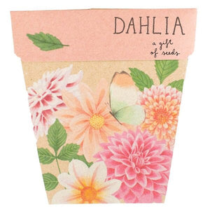 Gift of Seeds : Dahlia - Tribe Castlemaine