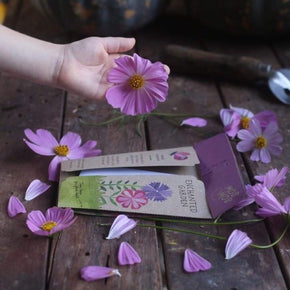 Gift of Seeds : Enchanted Garden - Tribe Castlemaine
