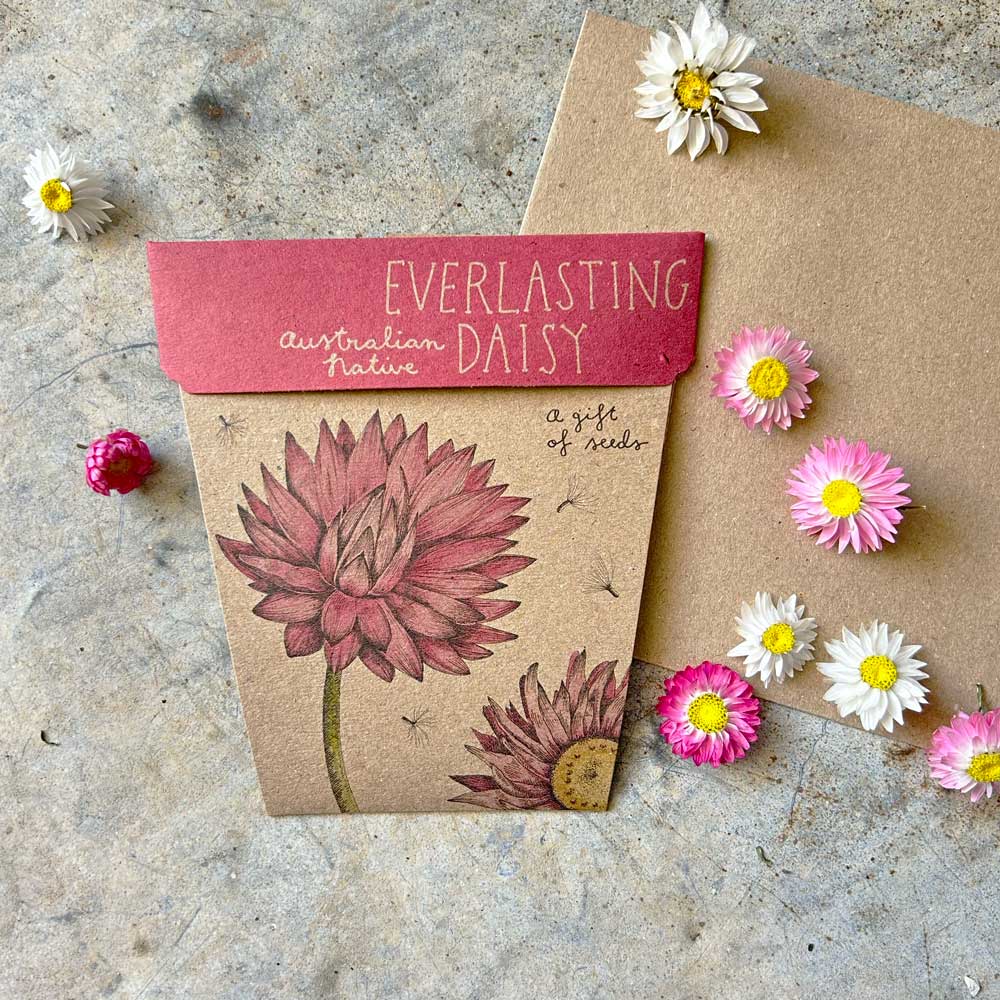 Gift of Seeds : Native Flowers - Tribe Castlemaine