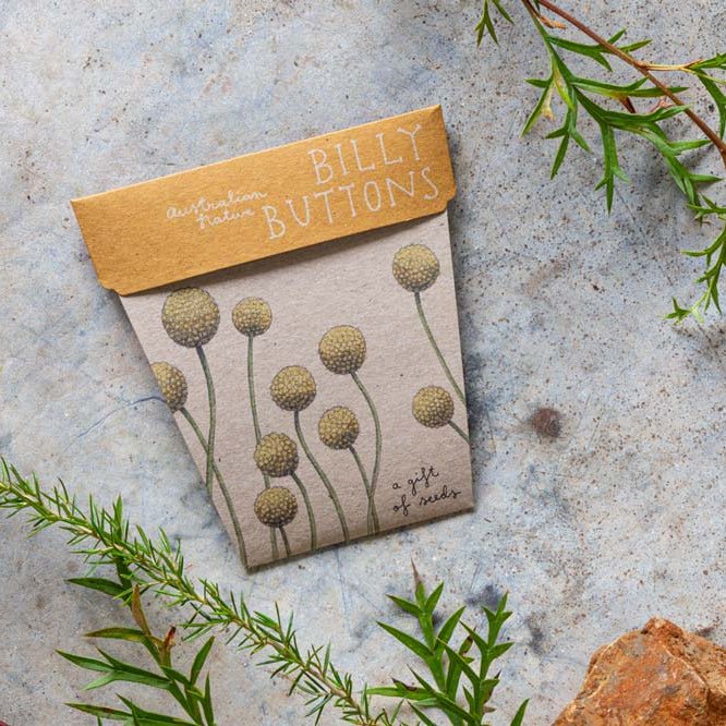 Gift of Seeds : Native Flowers - Tribe Castlemaine