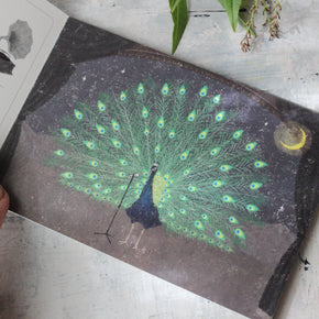 Harmony Postcard Set - Tribe Castlemaine