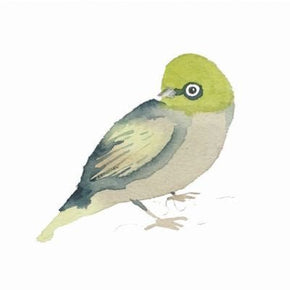 Jess Racklyeft Card Silver Eye Bird - Tribe Castlemaine