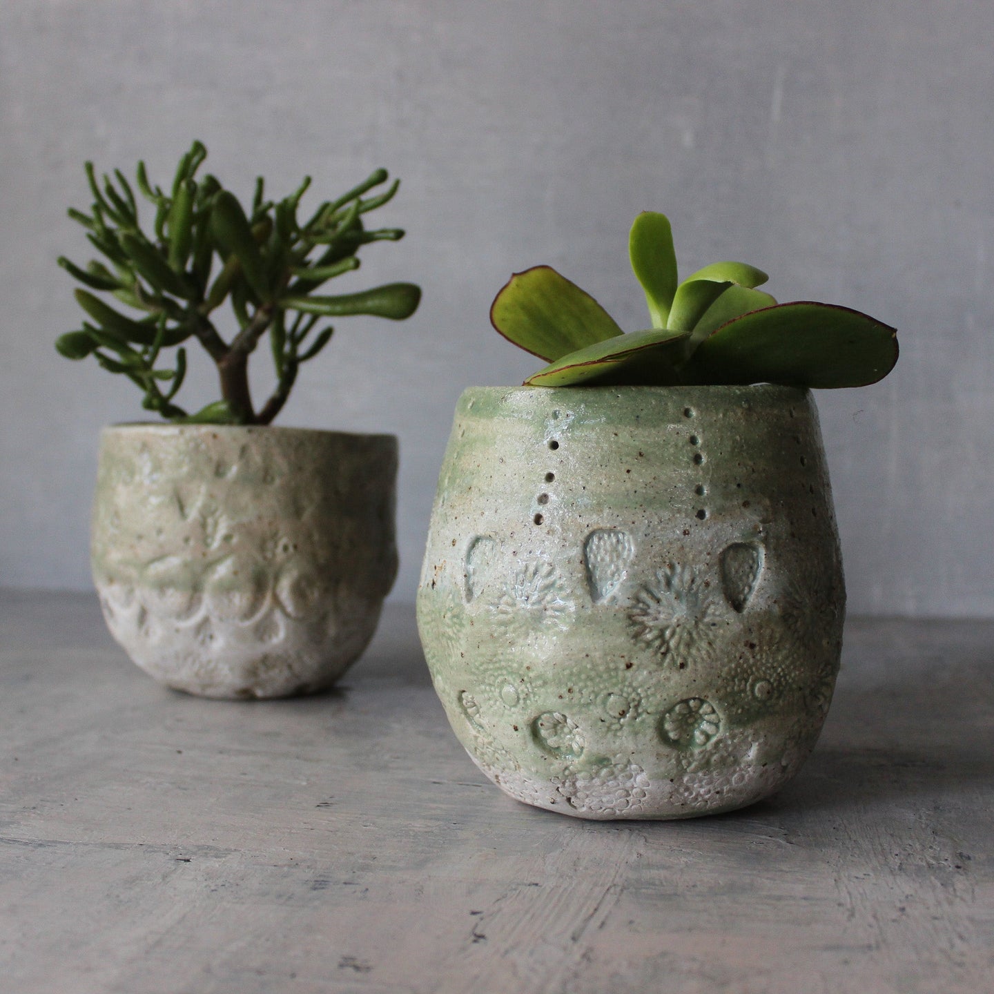 ceramic plant pots australia Large Ceramic Planters Textured Green – Tribe Castlemaine