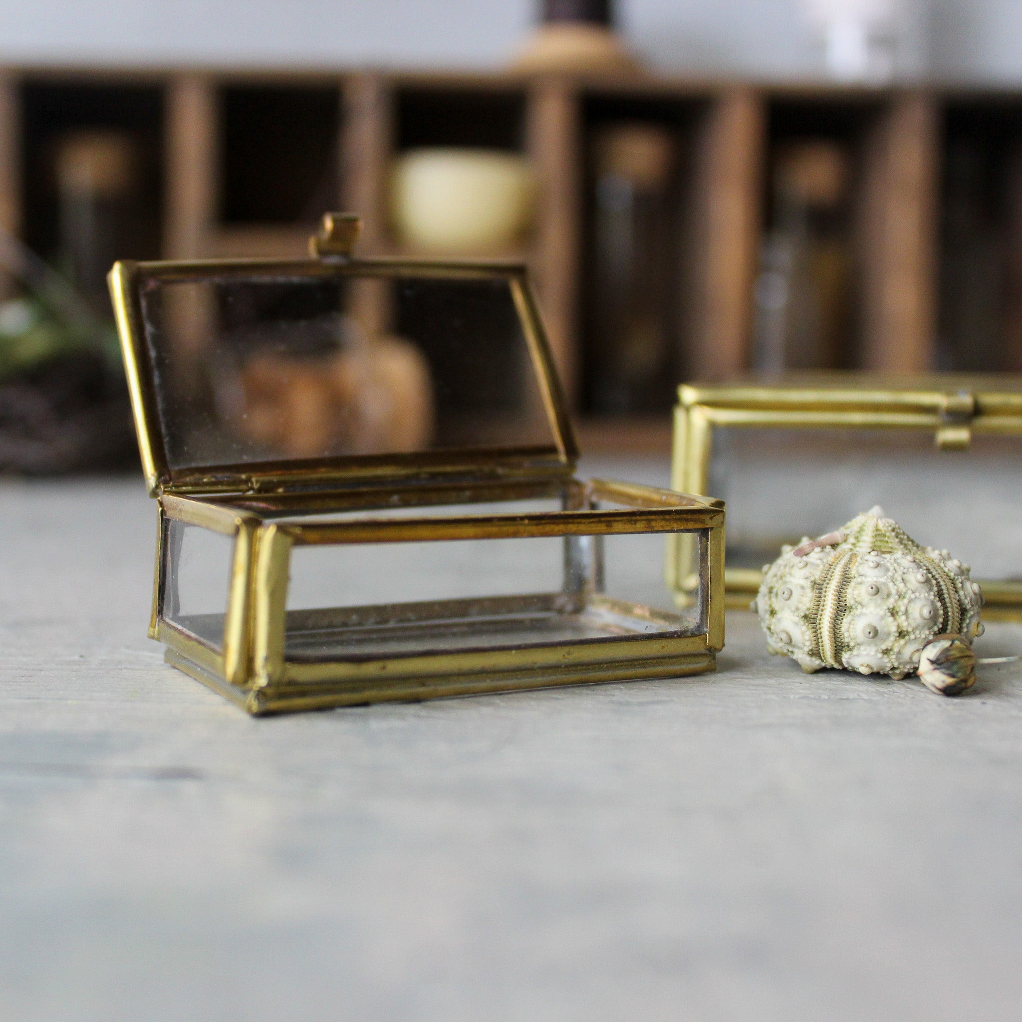 Little Brass Glass Boxes - Tribe Castlemaine