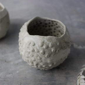 Little Marbled Pots - Tribe Castlemaine