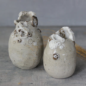 Little Rock Coral Vases - Tribe Castlemaine