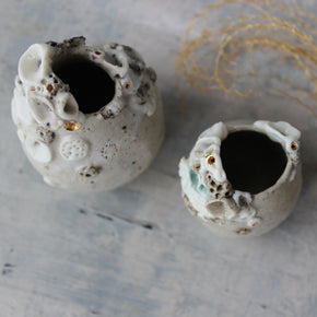 Little Rock Coral Vases - Tribe Castlemaine
